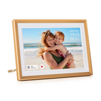 d10 digital frame